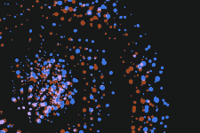 Scattered blue and brown dots - Vector Illustration on Unsplash+