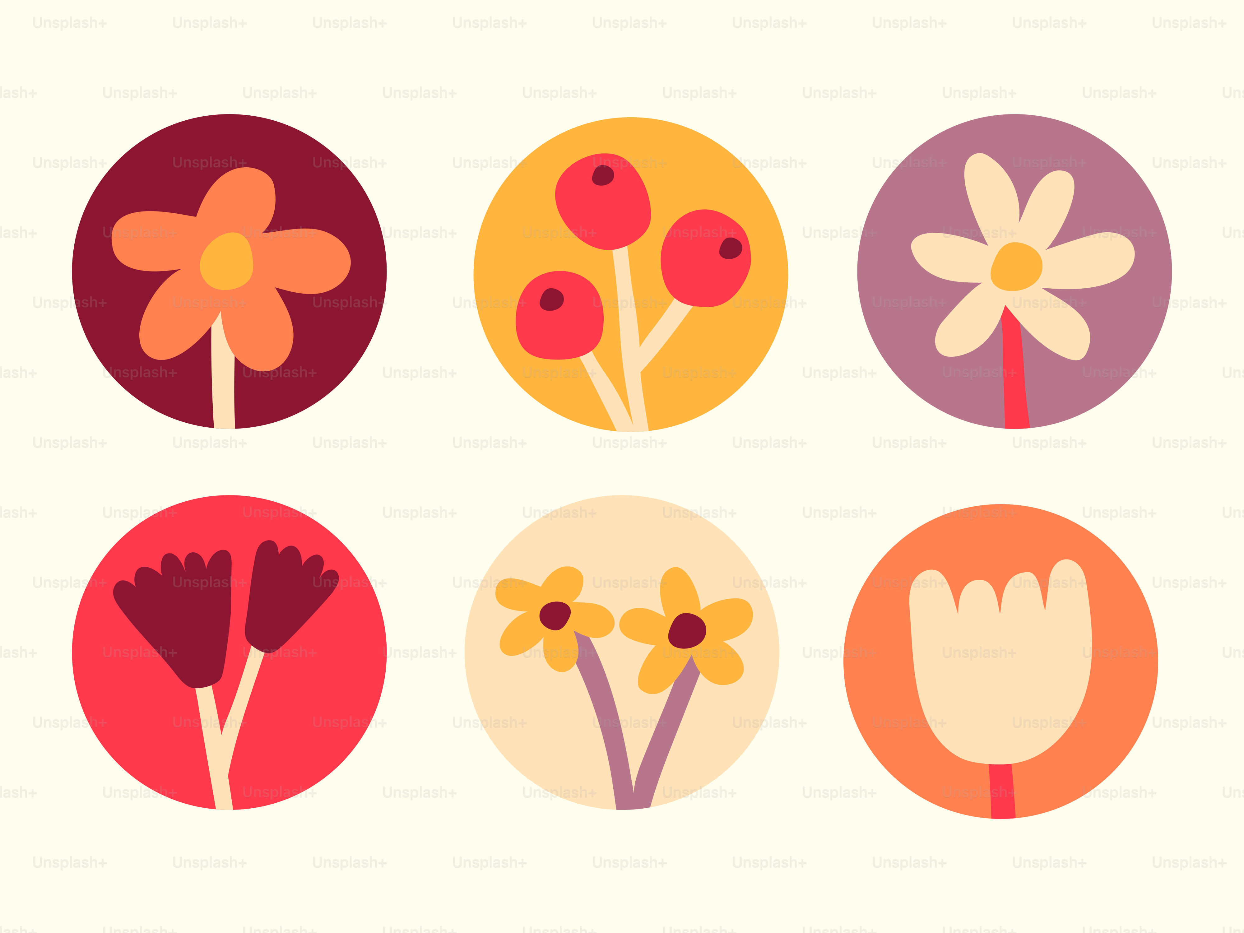 Floral and berry circular icons - Vector Illustration on Unsplash+