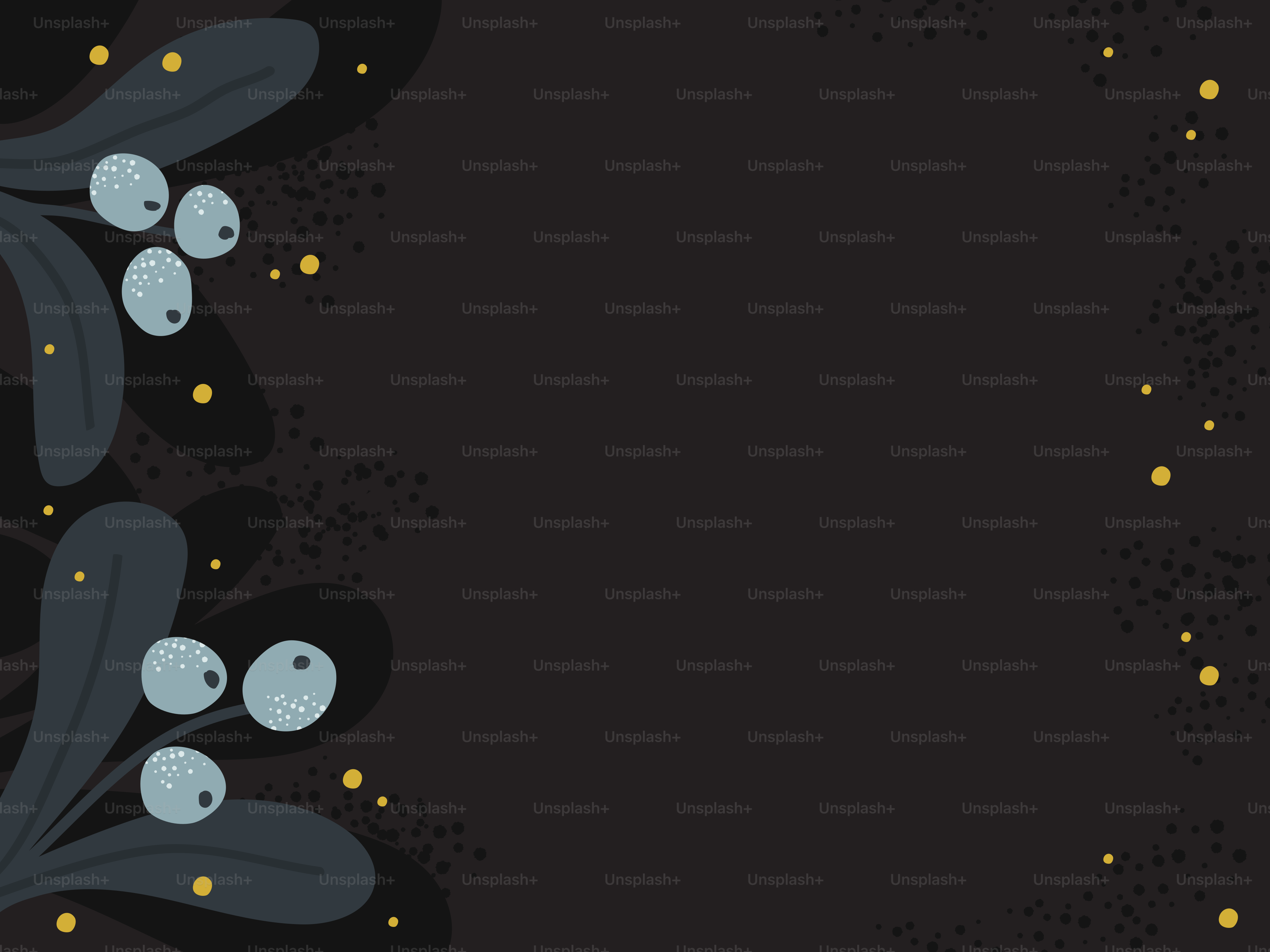 Pine branches with berries and stars - Vector Illustration on Unsplash+