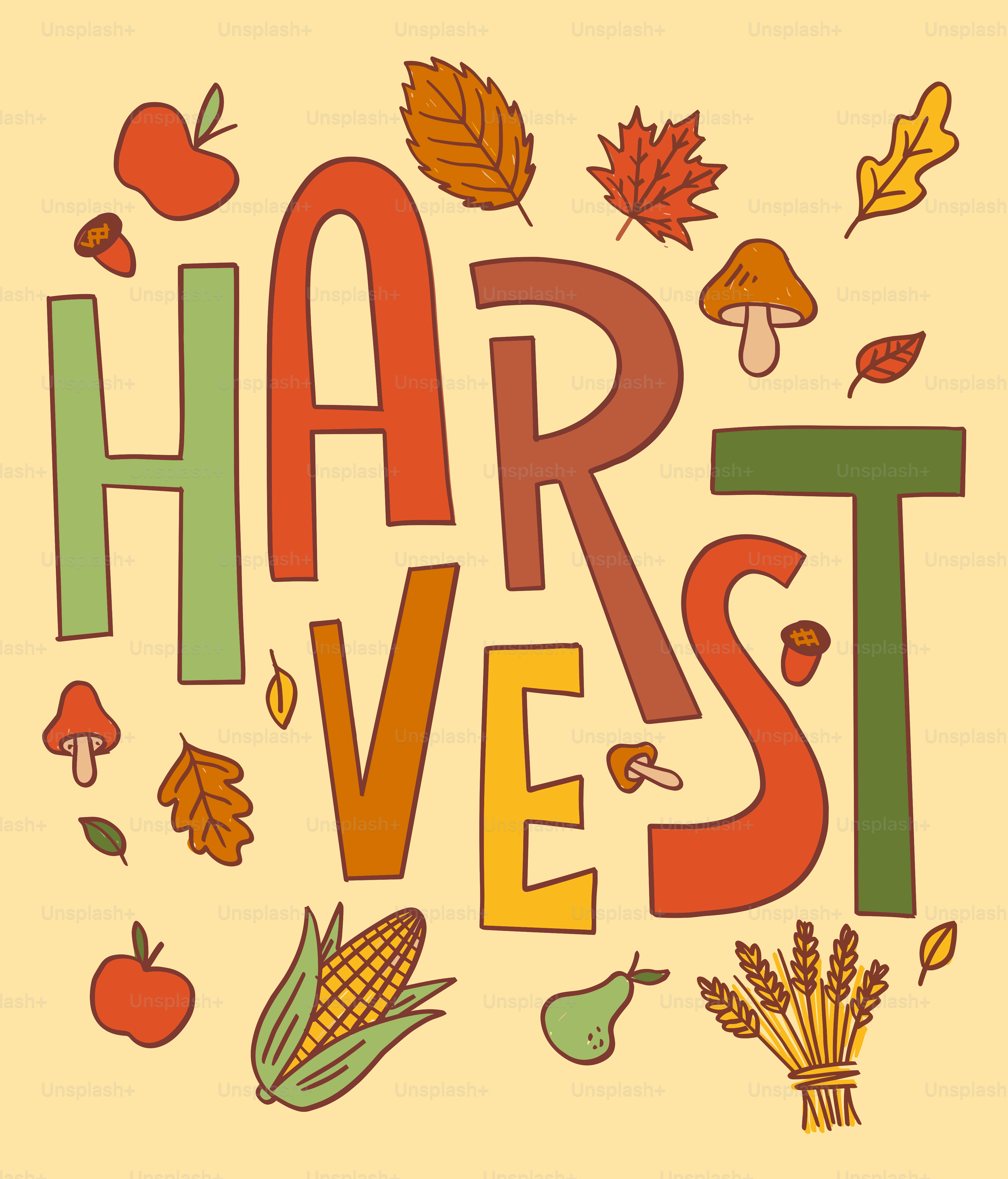 Harvest typography with autumn harvest elements - Vector Illustration ...